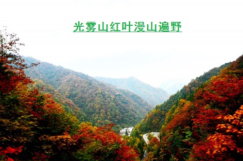 光霧山——天下紅葉第一山