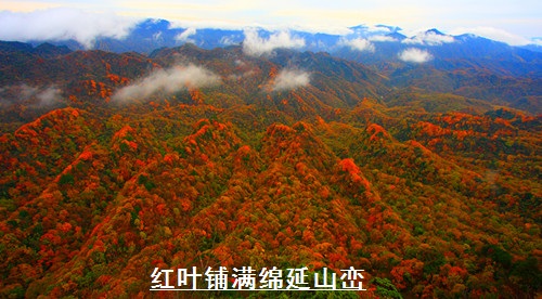 光雾山——天下红叶第一山