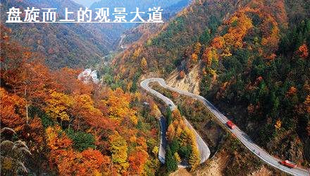 光霧山——天下紅葉第一山