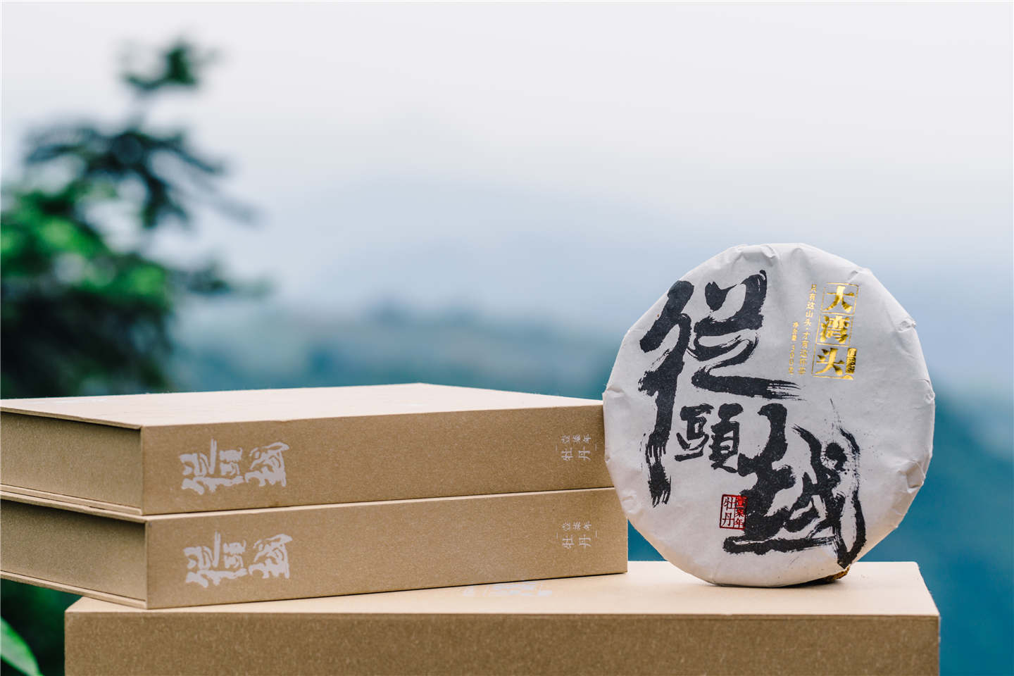 从头越产品介绍