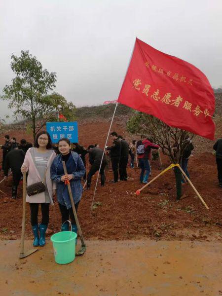 区城投积极参与区直机关义务植树活动