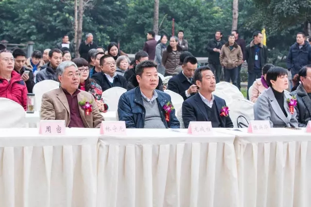 大湾头白茶品牌发布会近日在渝成功举行 大湾头白茶品牌发布会近日在渝成功举行