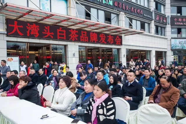 大湾头白茶品牌发布会近日在渝成功举行 大湾头白茶品牌发布会近日在渝成功举行