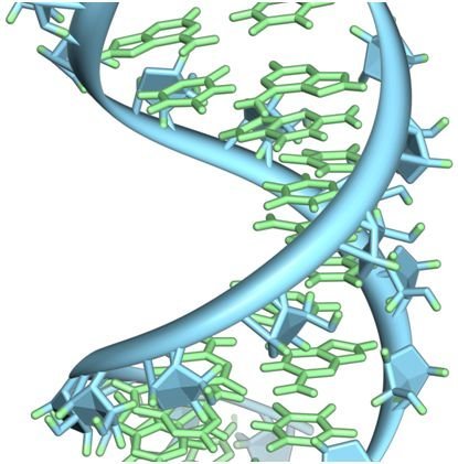 Nature:重大突破!发现III型CRISPR-Cas系统新的作用机制 Nature:重大突破!发现III型CRISPR-Cas系统新的作用机制