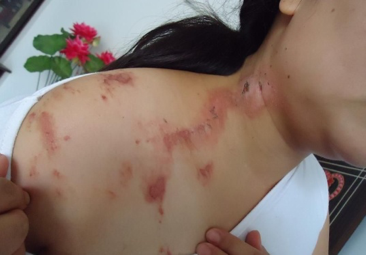 物溯源追踪