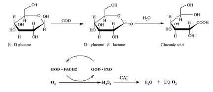 Feed Glucose Oxidase and Application Introduction