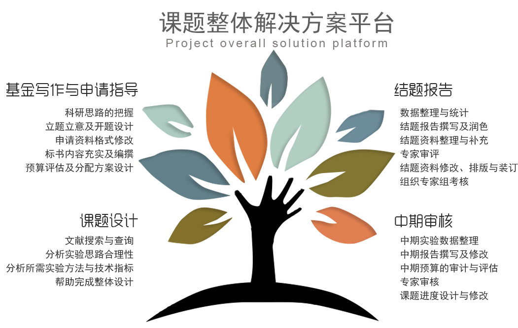 课题整体解决方案平台 课题整体解决方案平台