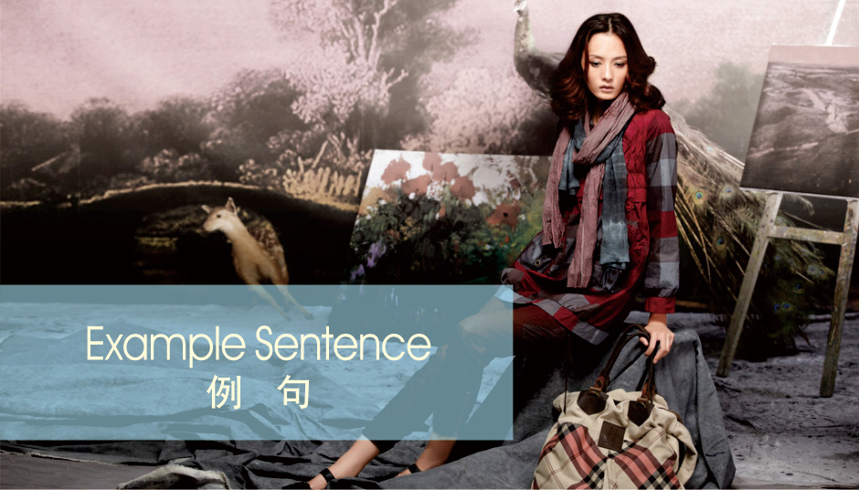 例句 Example Sentence