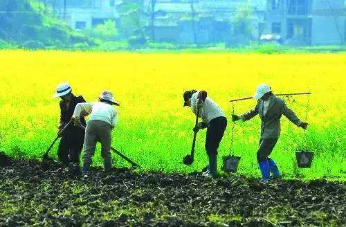 律师总结：农村征地拆迁法定补偿程序和补偿标准