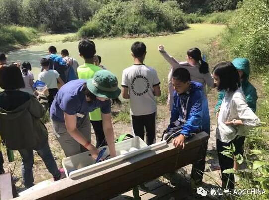 MOU 2.0 落基山暑期学游，归程是为了更好的开始