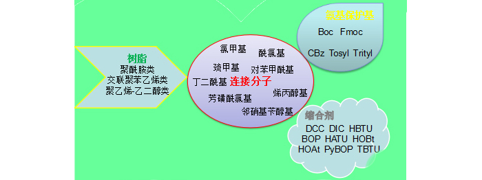 一文初识“多肽”药物及其开发 一文初识“多肽”药物及其开发