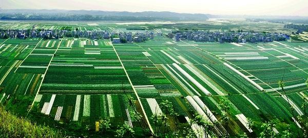 国家农村产业融合发展示范园报告编制