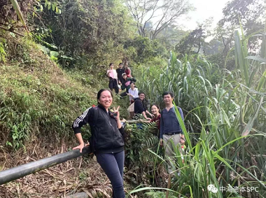 鹏城第一高峰登顶之行--记中海资本梧桐山团建