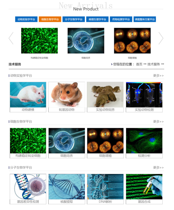 热烈庆祝杭州鹰旸生物科技有限公司官网正式上线 热烈庆祝杭州鹰旸生物科技有限公司官网正式上线