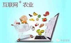 贾大猛：现代农业发展要预留通向市场的“出口”