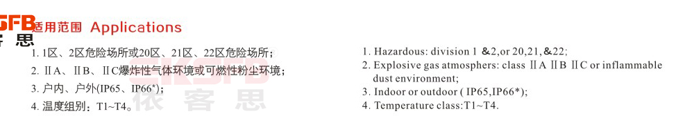 BDN系列防爆電腦