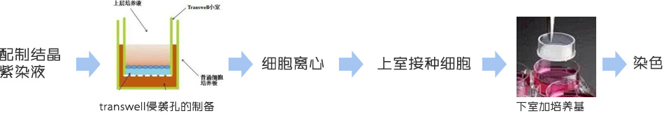 检测分析