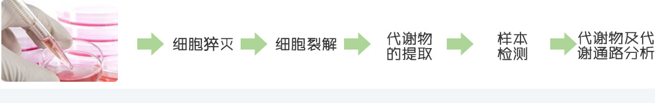 代谢组学技术 代谢组学技术