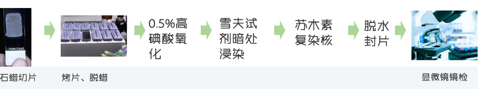  PAS染色法