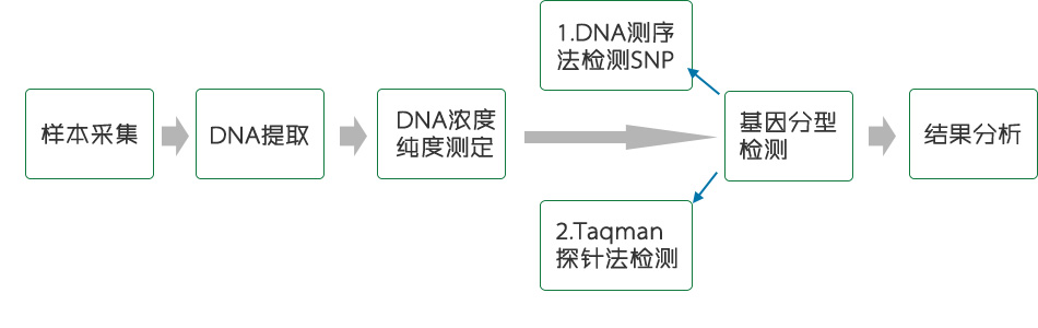 基因差异性检测
