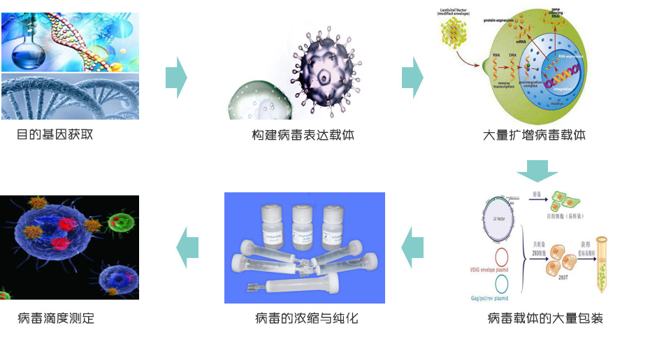 病毒包装