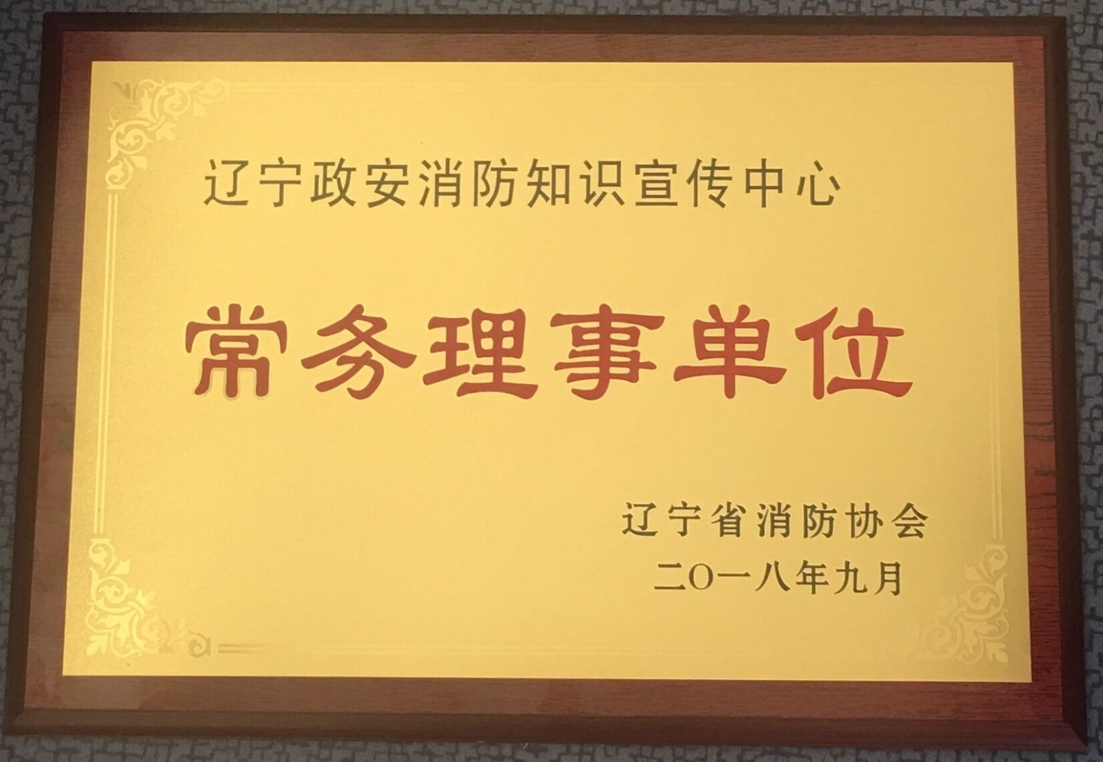 政安消防遼寧分中心當選遼寧省消防協(xié)會“常務理事單位”
