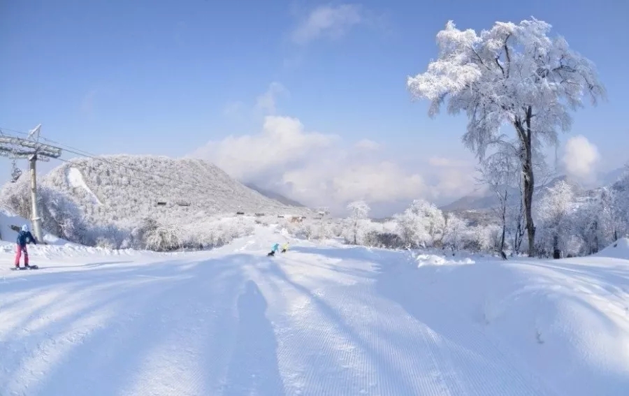 四川人民有福了,冬日去这些地方滑雪撒个泼儿,安排,必须安排! 四川人民有福了,冬日去这些地方滑雪撒个泼儿,安排,必须安排!