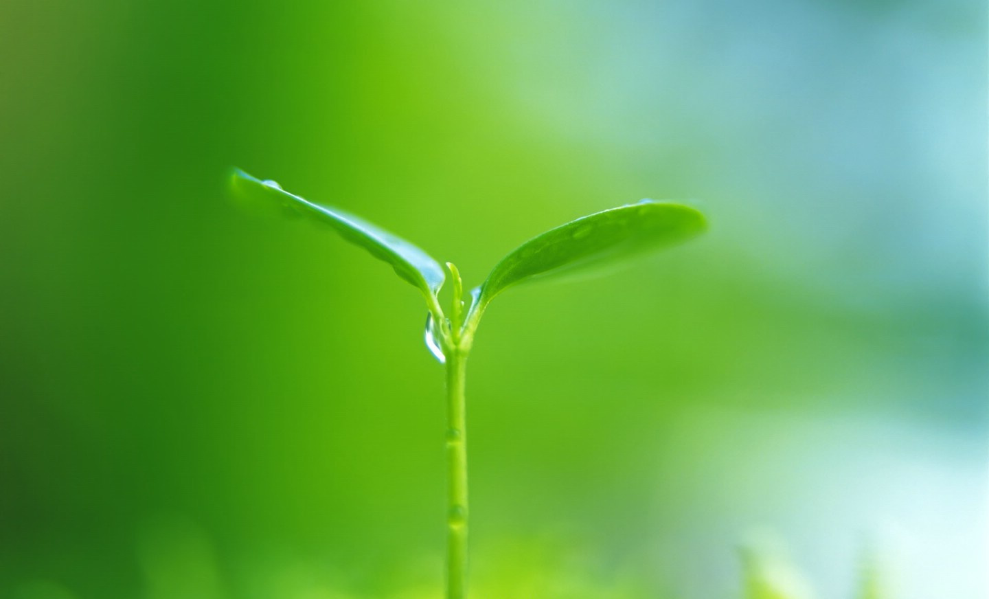 我要把財富留給孫子，空氣治理空氣凈化就是最大的財富。
