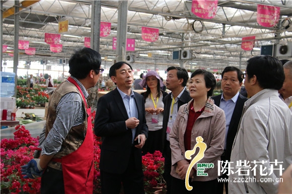 全国花卉市场建设工作座谈会在郑州召开