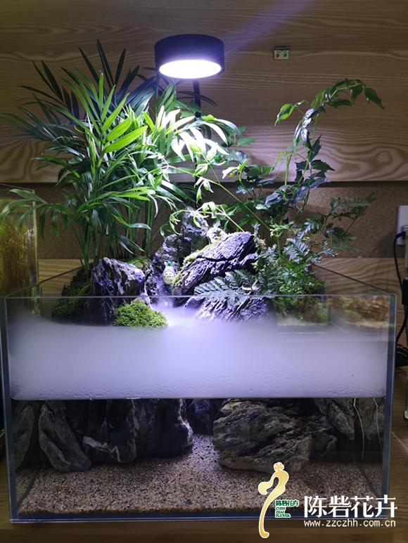 微生态-微型桌面鱼缸