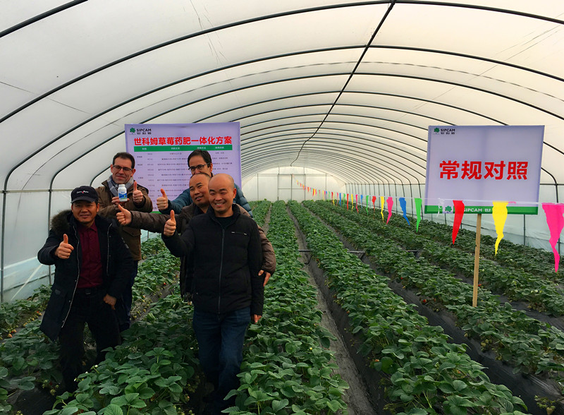 世科姆总部专家走访中国特肥市场