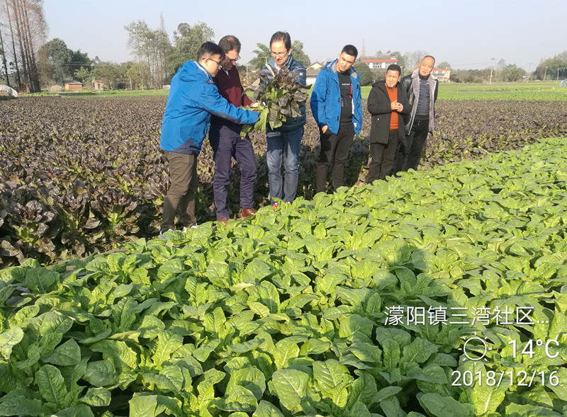 世科姆总部专家走访中国特肥市场