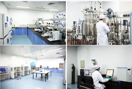 下载中心 下载中心