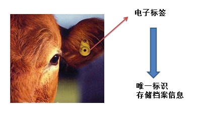 宠物标签手持阅读器解决方案