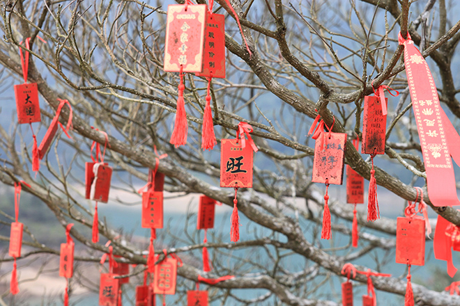 中研2019年会圆满落幕