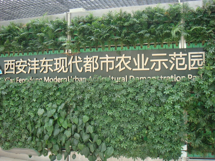 陕西西安沣东现代都市农业博览园 陕西西安沣东现代都市农业博览园