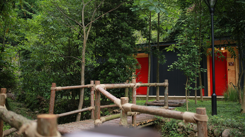 丛林小屋 丛林小屋