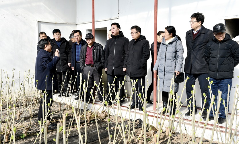 省蚕桑创新团队2018年度工作总结会在青州召开 省蚕桑创新团队2018年度工作总结会在青州召开