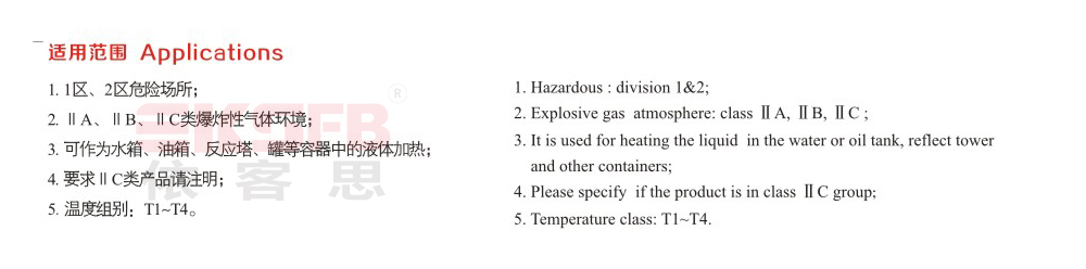 BDR-系列防爆電加熱器