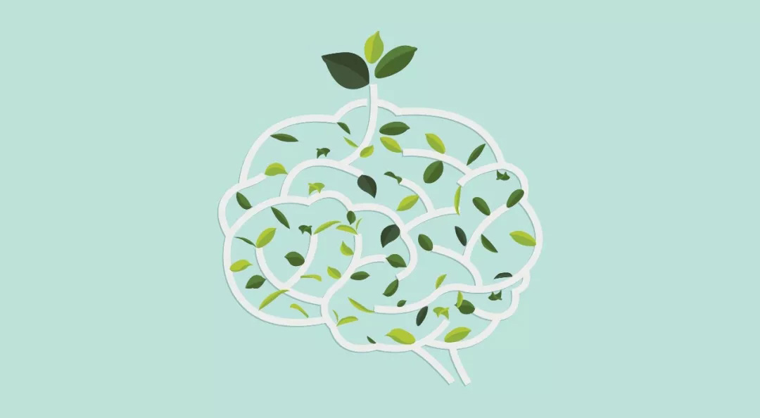 给各位科普下,深受留学生喜爱的心理学专业 给各位科普下,深受留学生喜爱的心理学专业