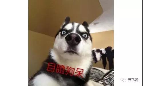 经营加油站的最高境界是,躺着就能把钱赚了?你咋不上天呢! 经营加油站的最高境界是,躺着就能把钱赚了?你咋不上天呢!