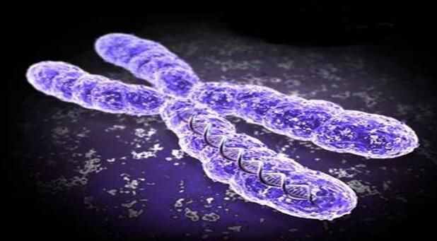 科学家成功利用大数据分析来鉴别新型的癌症风险基因