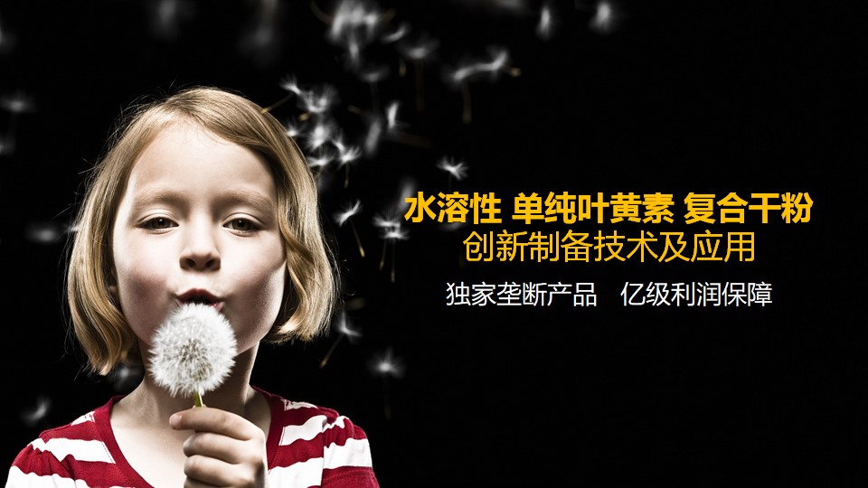 1.30太上生命科学产业项目路演会成功举办! 1.30太上生命科学产业项目路演会成功举办!