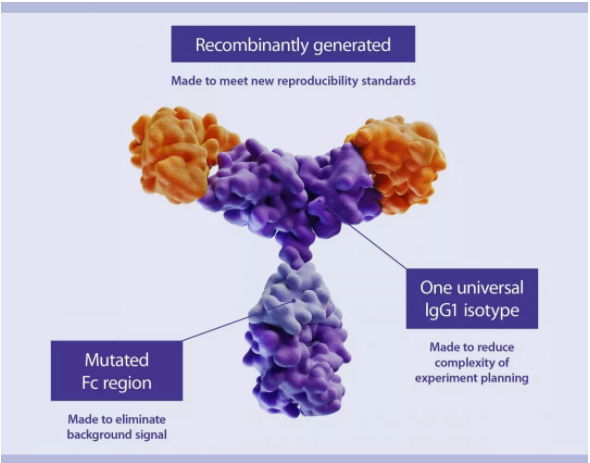 不一样的流式抗体——REAfinity重组基因工程改造抗体
