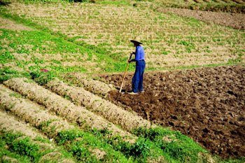 土地经营权入股发展农业产业化经营的重点任务