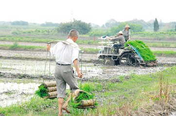 推进土地经营权入股应把握的基本原则