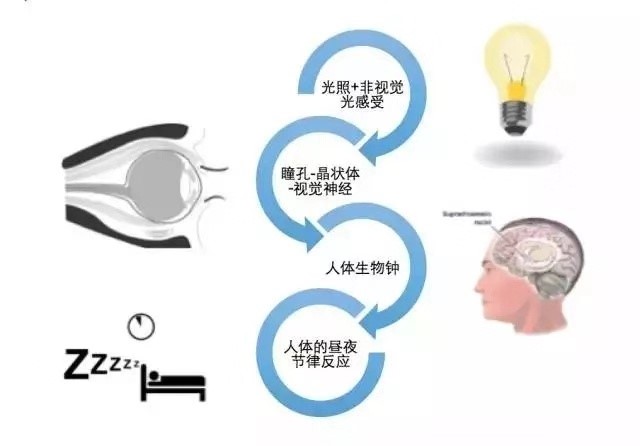 健康manbetx体育app—2018年灯具市场的黑马 健康manbetx体育app—2018年灯具市场的黑马