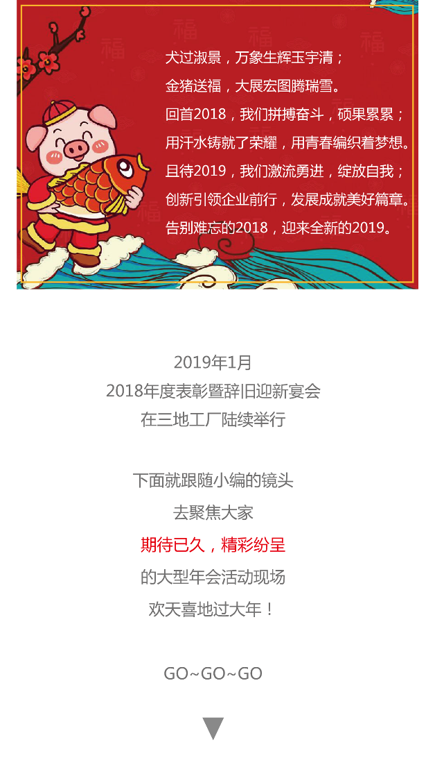 奋斗2018 绽放2019