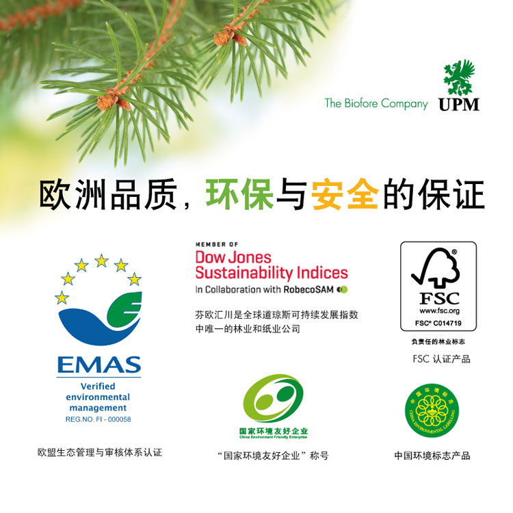 佳印（UPM）A3 80克纯木浆高白复印纸 5包/箱