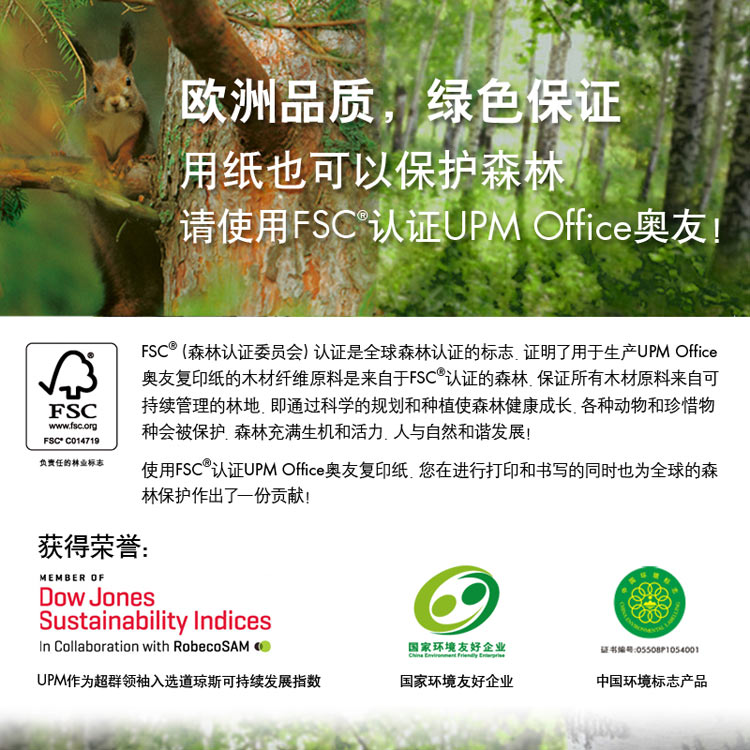 佳印（UPM）A3 80克纯木浆高白复印纸 5包/箱